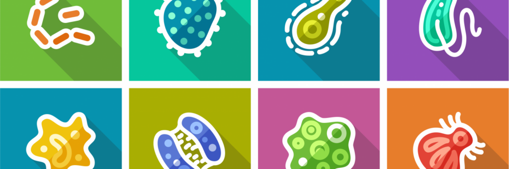 virus and bacteria images